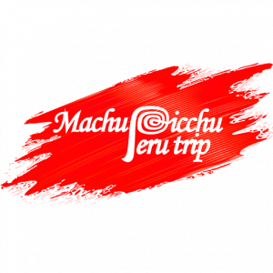 cropped MACHU PICCHU FAVICON
